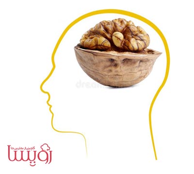 گردو و افزایش هوش کودکان- رویسا