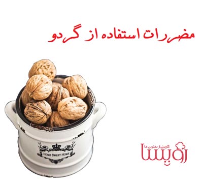 مضررات گردو- رویسا