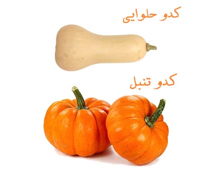 تفاوت کدو تنبل و کدو حلوایی - رویسا
