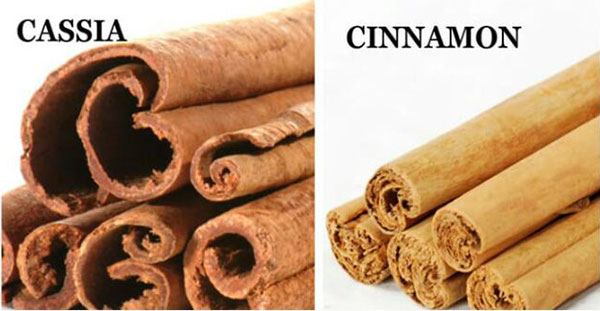 انواع دارچین