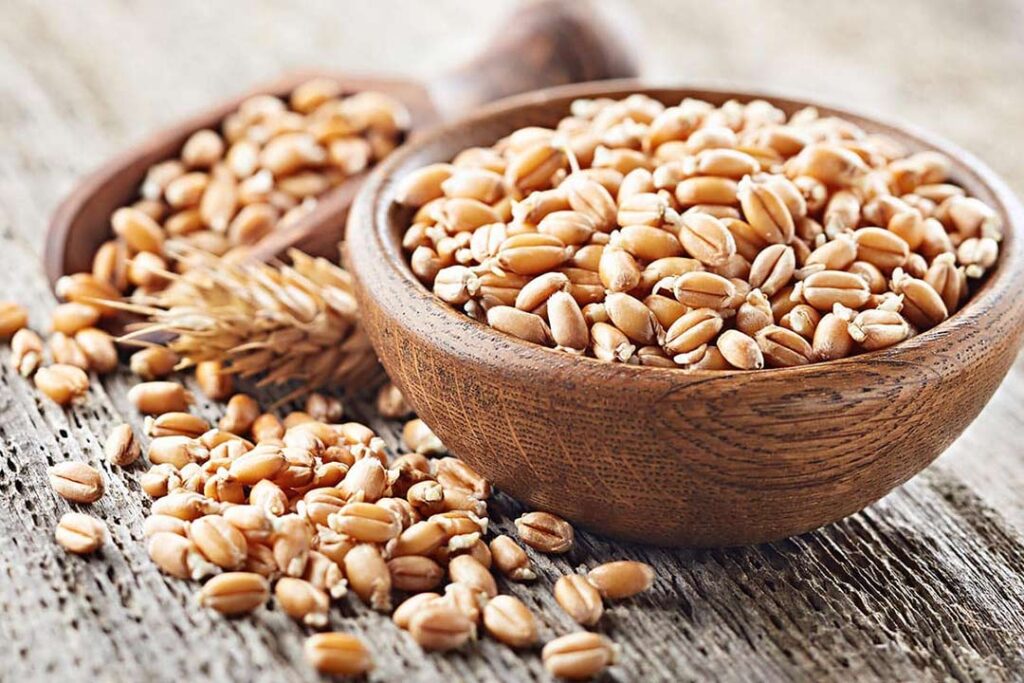 نحوه مصرف پودر جوانه گندم برای بدنسازی