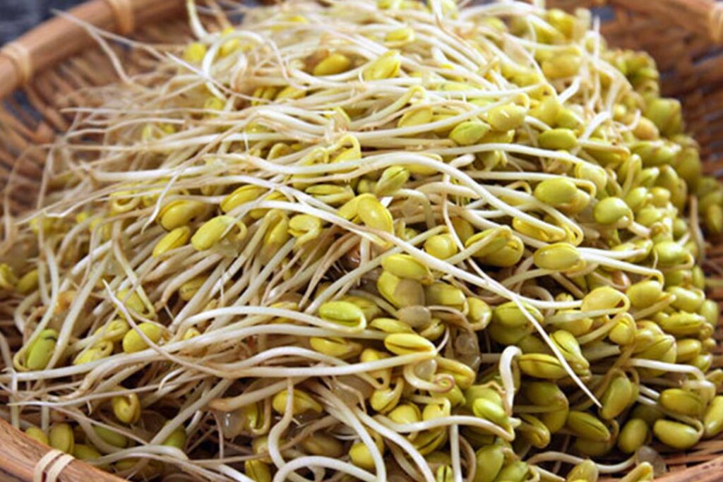 سوپ رژیمی جو دوسر و پودر جوانه گندم