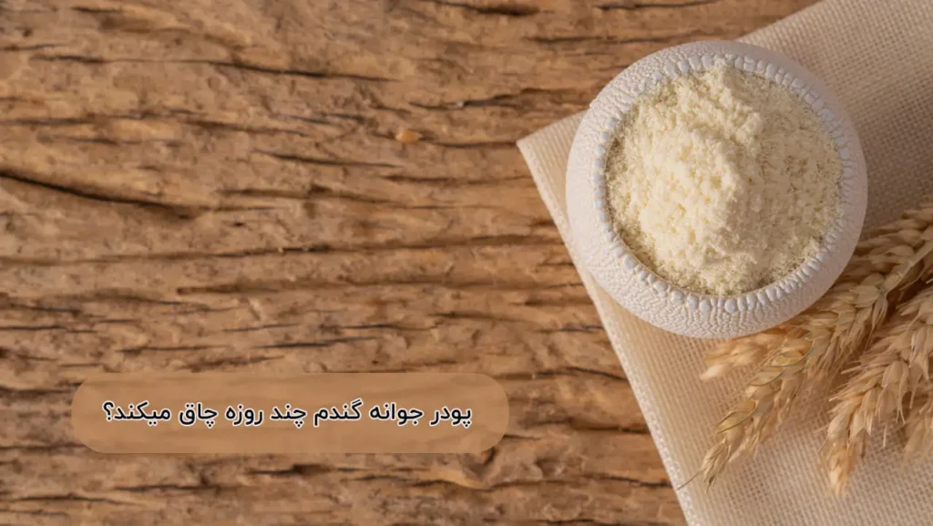 پودر جوانه گندم چند روزه چاق میکند